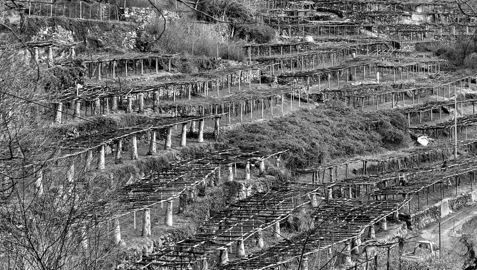 Carema Wine - Muraje, Carema (Alto Piemonte)