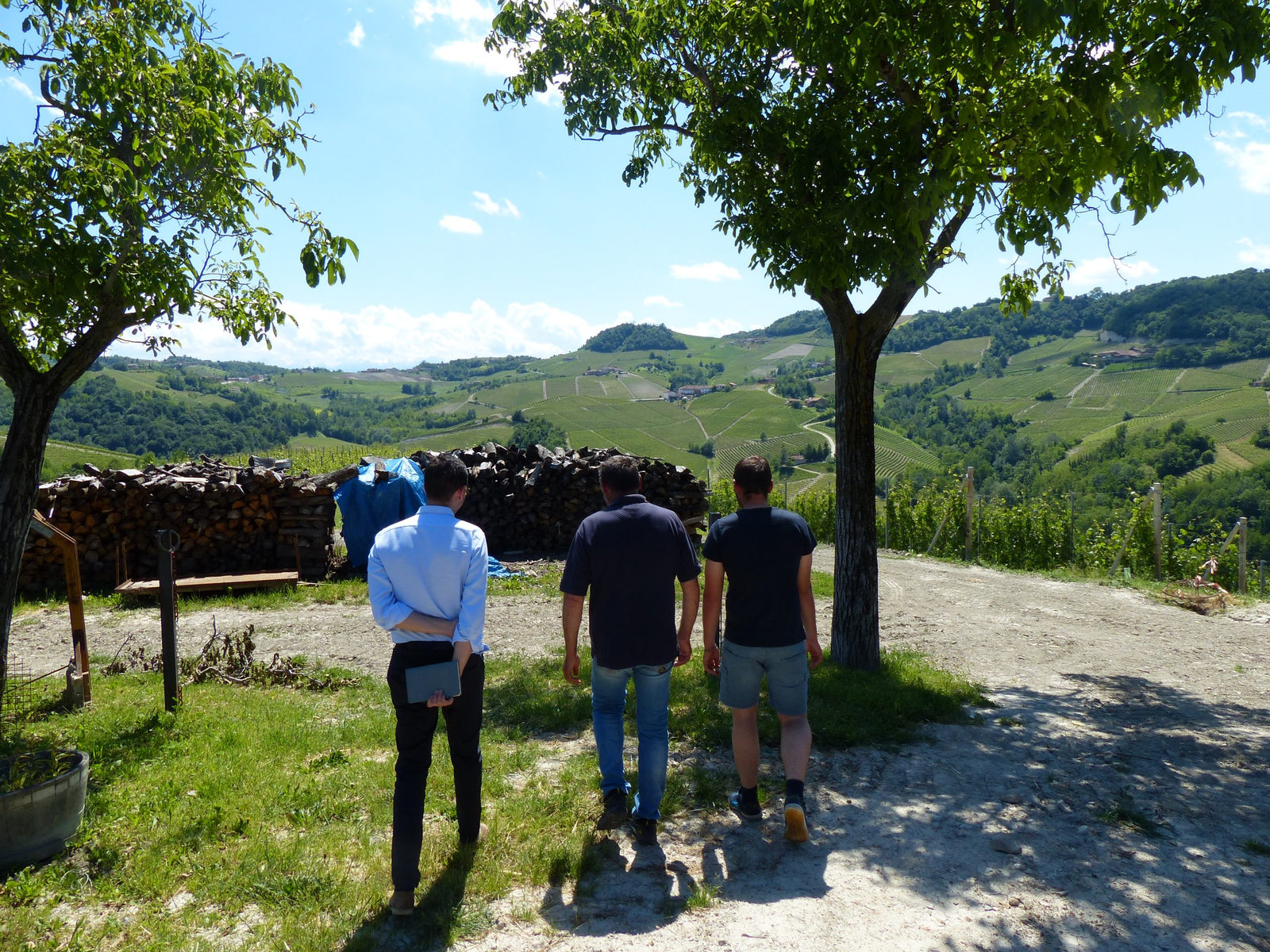 La Briccolina, Serralunga (Barolo)