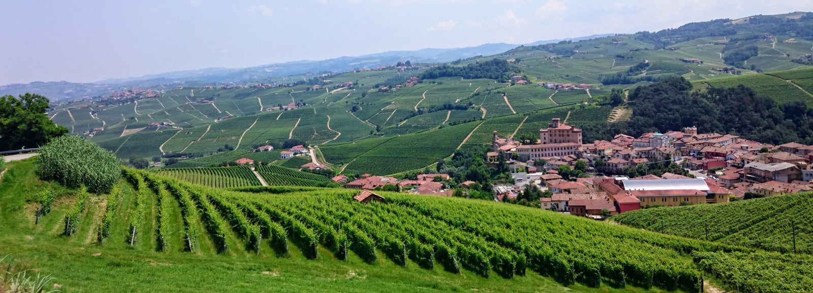 Giovanni Canonica (Barolo)