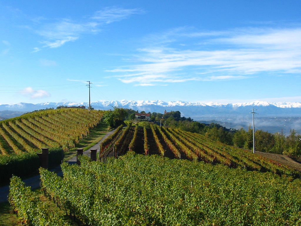 Bricco Giubellini, Monforte (Barolo)