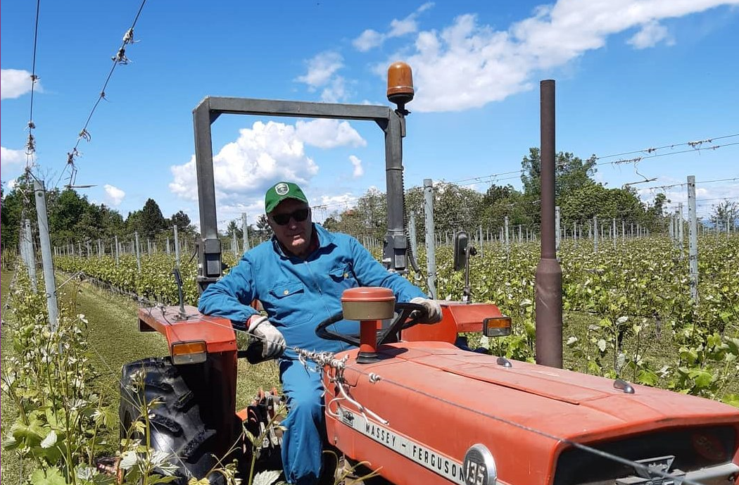 Boniperti, Fara (Alto Piemonte)