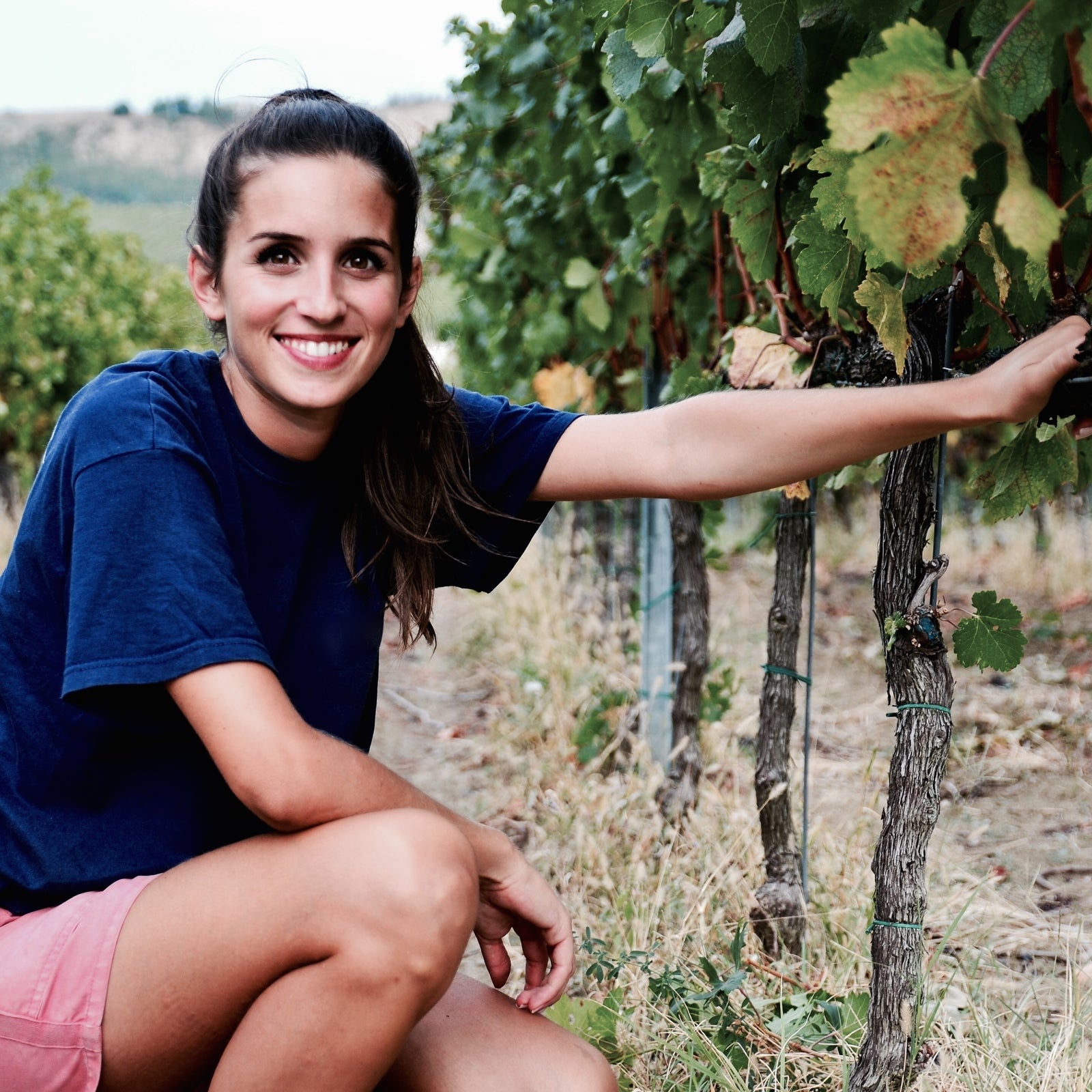 Condello Sangiovese Wine - Chiara Condello: Elevating Sangiovese to New Heights ...