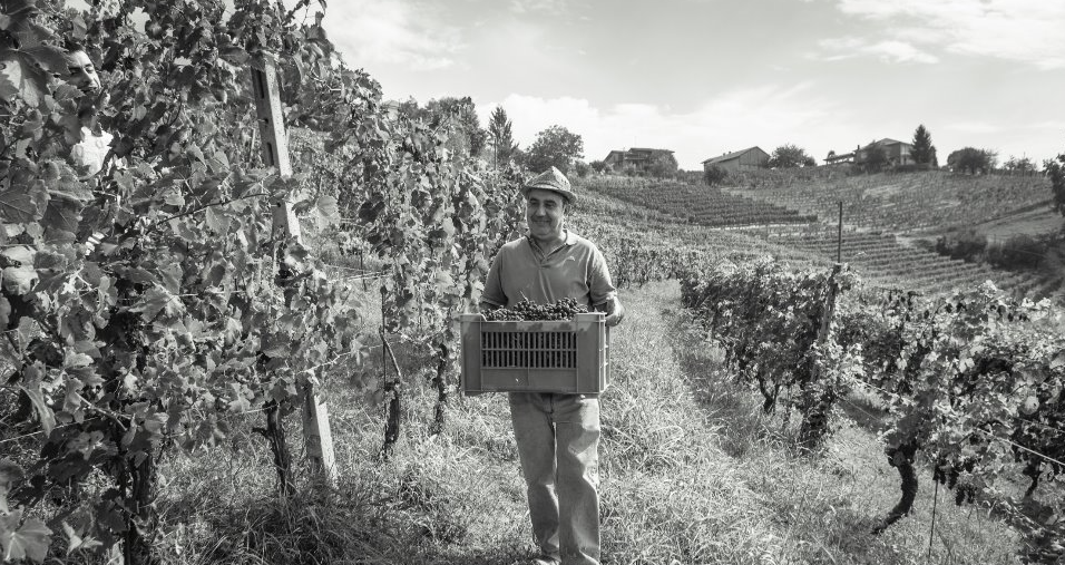Val Del Prete, Priocca (Roero)