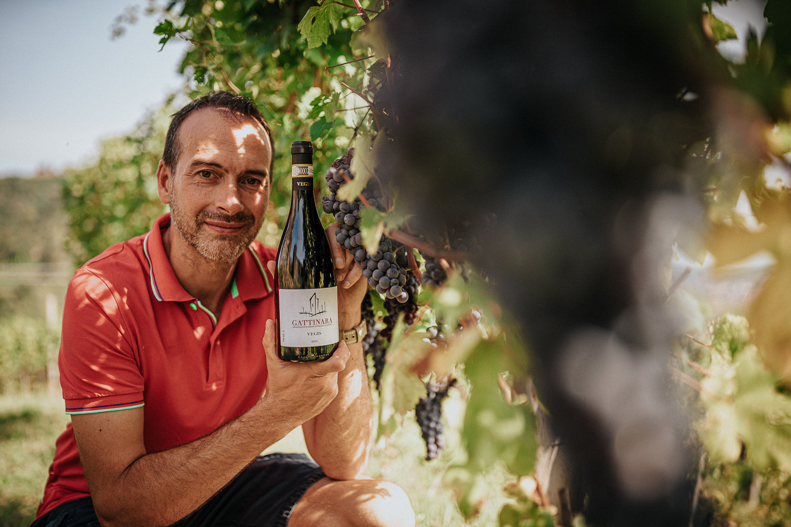 Vegis, Gattinara (Alto Piemonte)