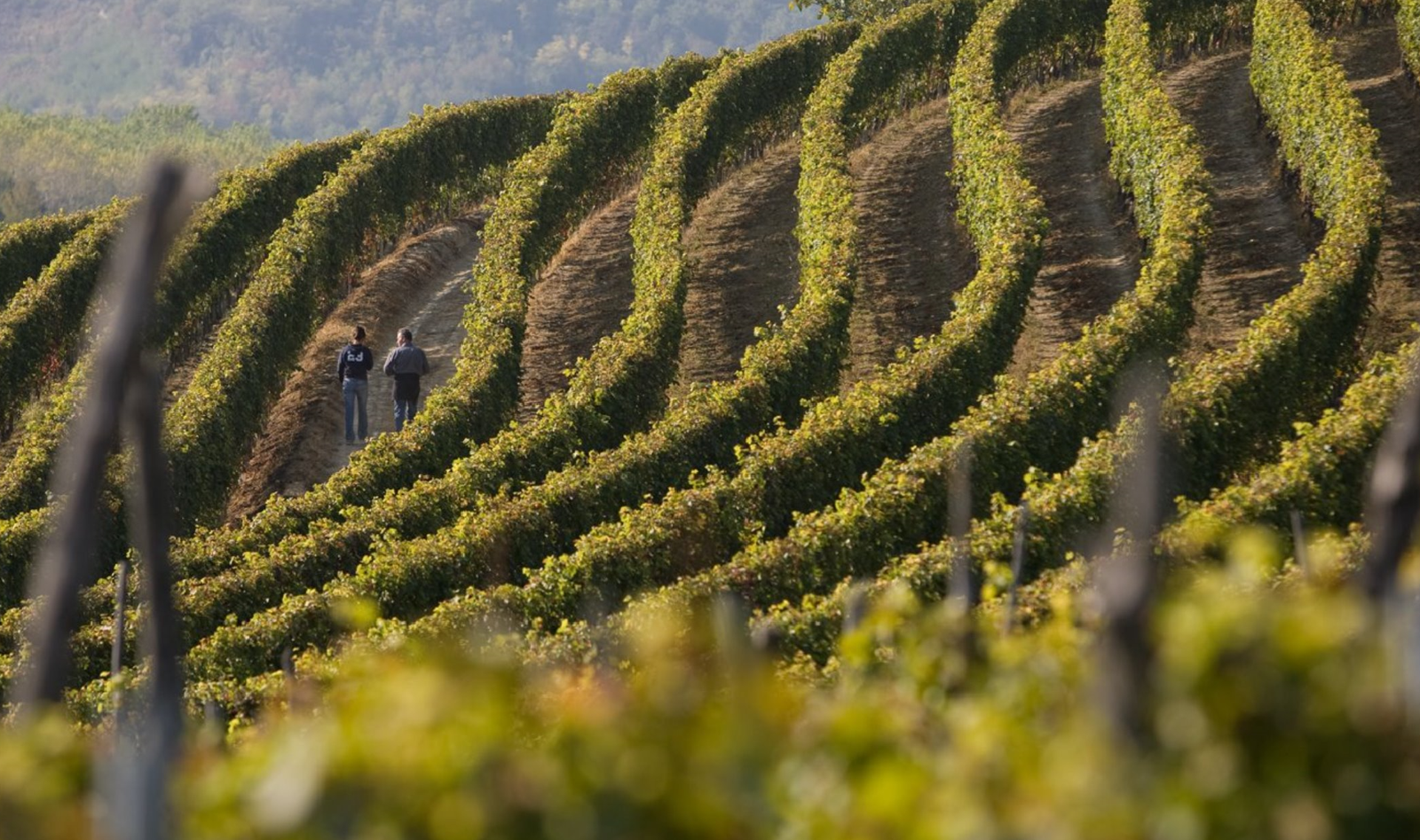 Eraldo Revelli, Farigliano (Dogliani)