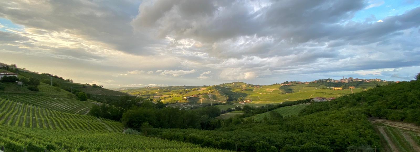 Roberto Garbarino (Alta Langa)