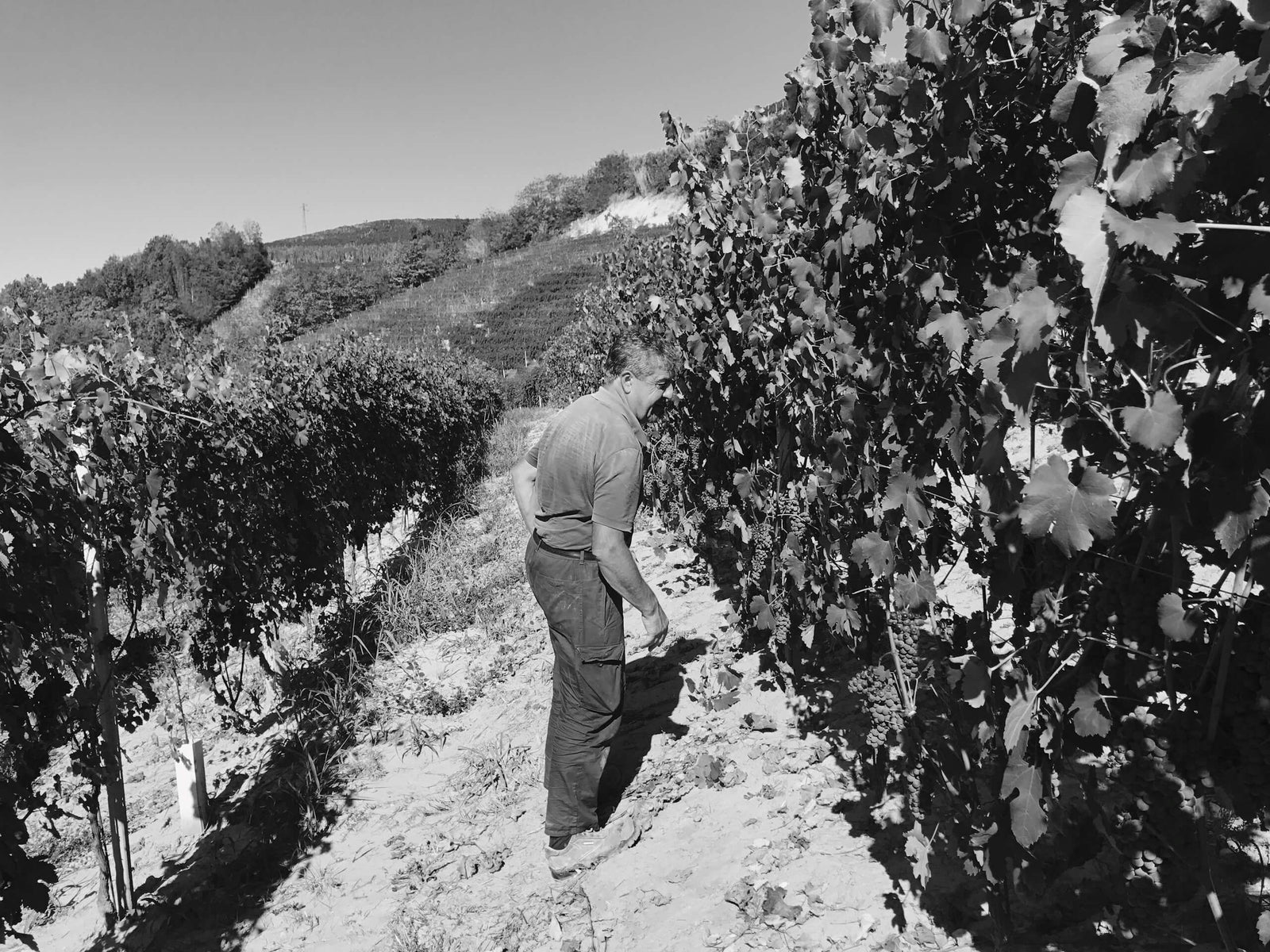 Cà Rossa, Canale d'Alba (Roero)