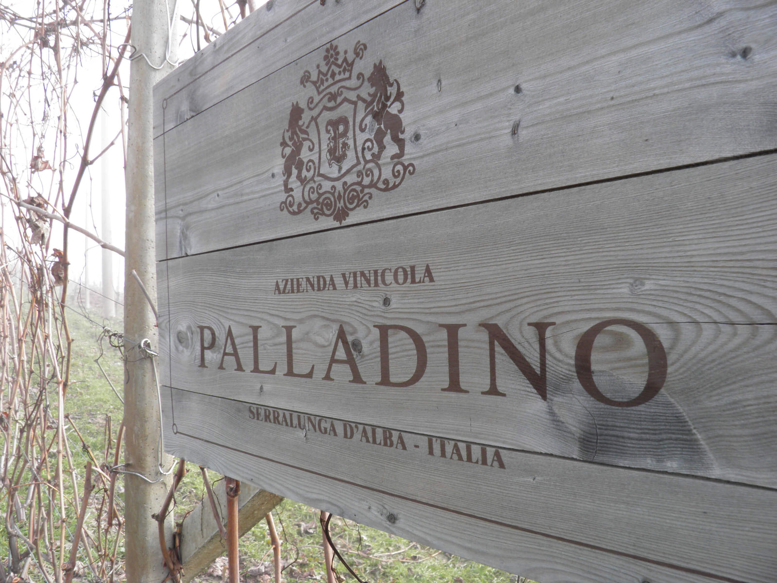 Palladino, Serralunga d'Alba (Barolo)