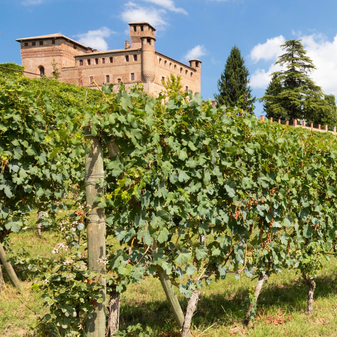 Piedmont