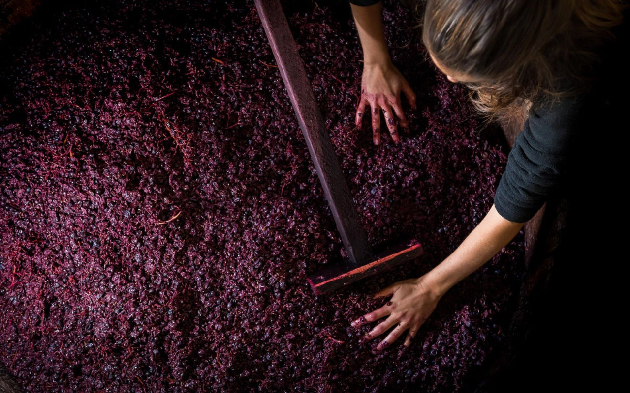 Romagna Sangiovese 2021