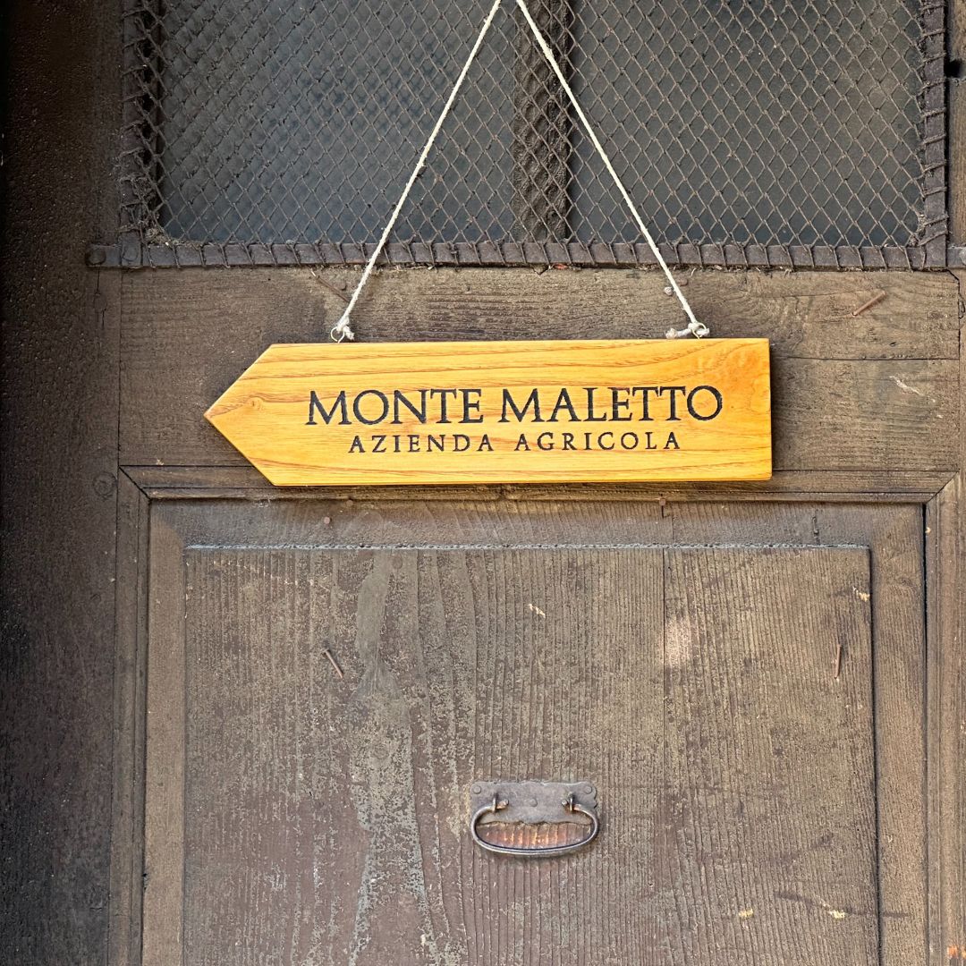 Monte Maletto Carema Sole e Roccia 2020 Imported by Ultravino Shop