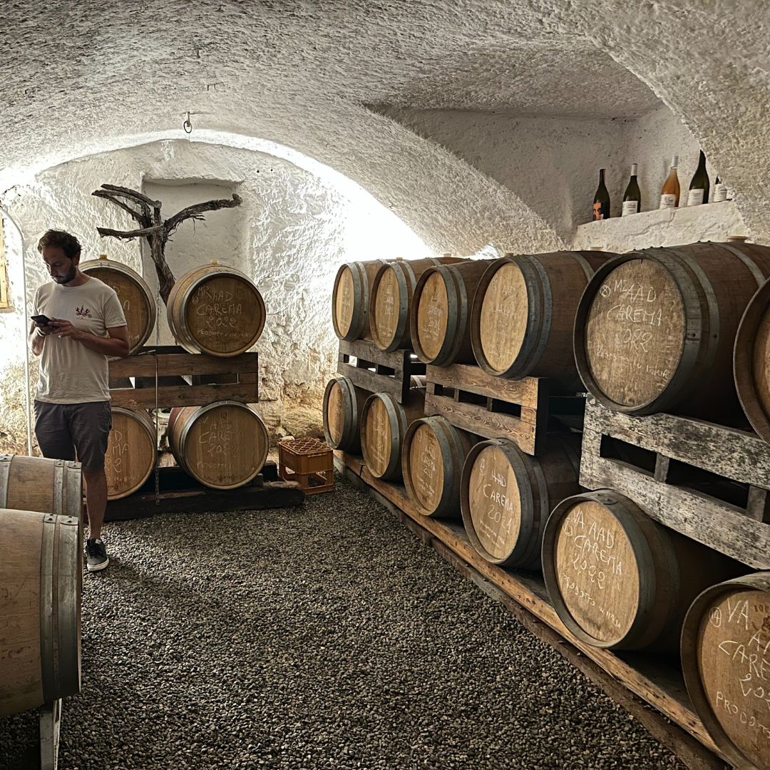 Monte Maletto Carema Sole e Roccia 2020 Imported by Ultravino Shop