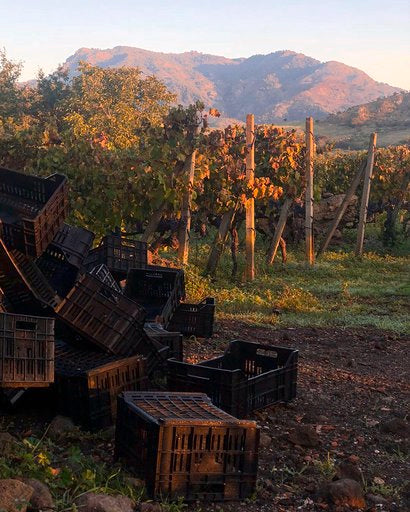 Etna Rosso Rumex 2019