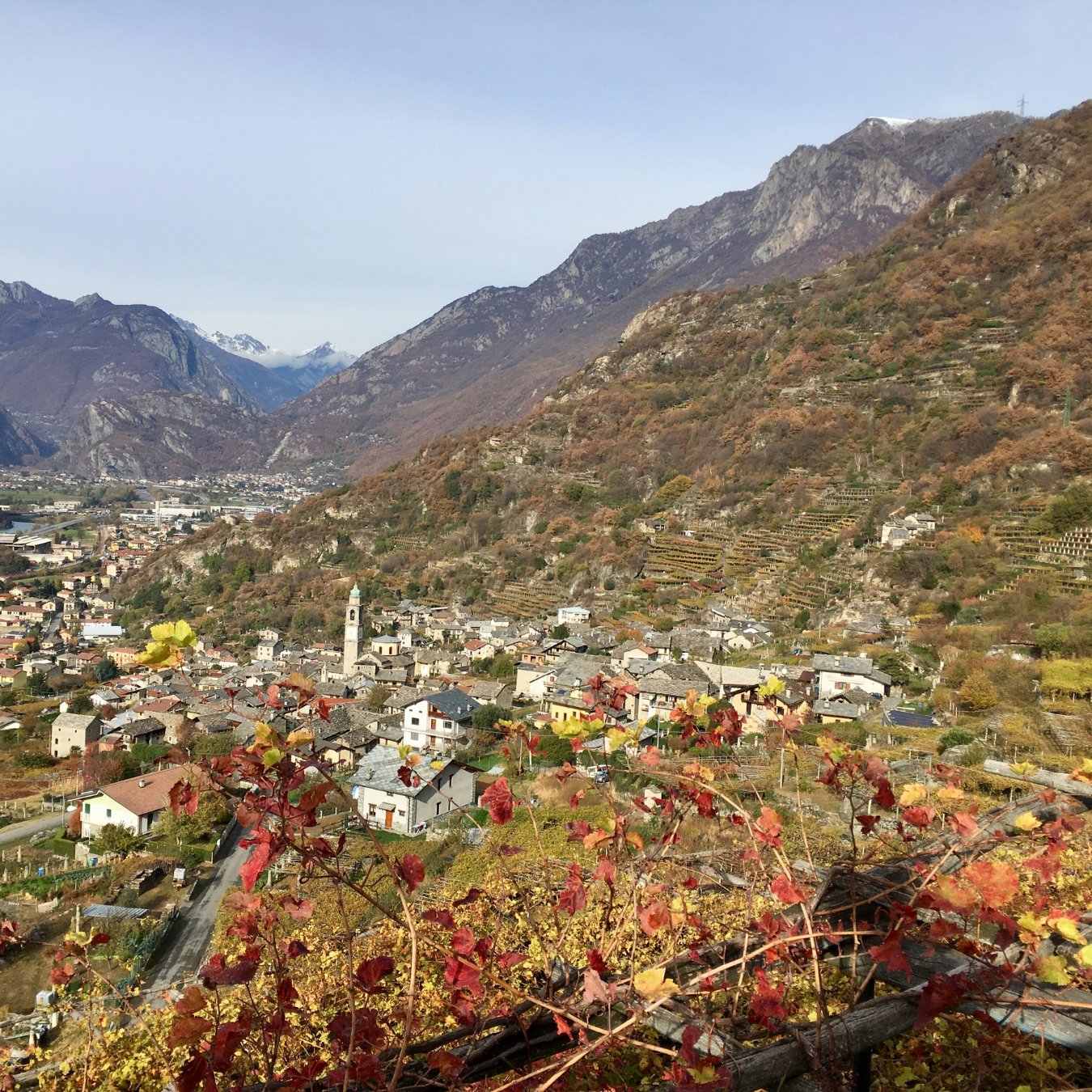 Sorpasso Wine from Carema, Alto Piemonte Valle d&#39;Aosta | Imported by ultravino